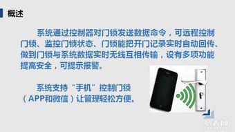 上海廠家直銷 引領智能生活新潮的互聯(lián)網門鎖與無線WiFi鎖